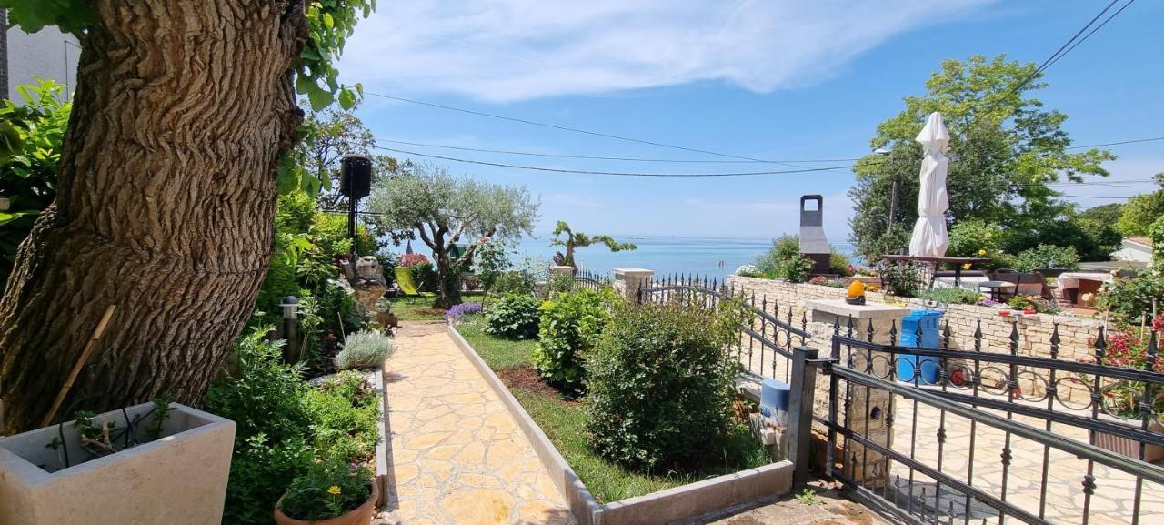 App Maria 1 Διαμέρισμα Zambratija  Εξωτερικό φωτογραφία