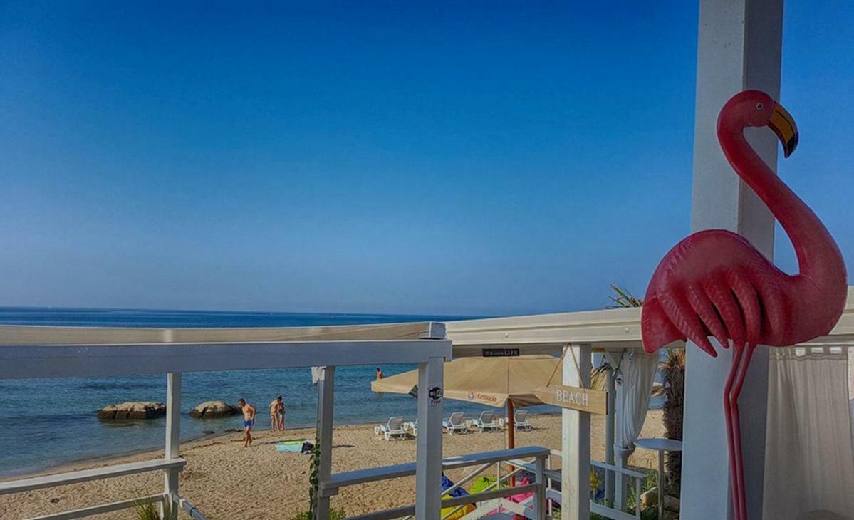 App Maria 1 Διαμέρισμα Zambratija  Εξωτερικό φωτογραφία